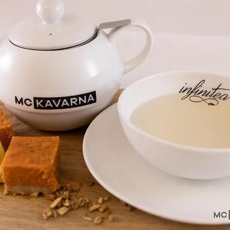 Mc 酒店 扎雷克
